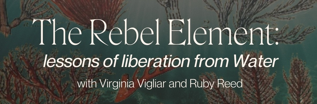 0E1780F6-6CE9-419A-9330-F153D612115E 0E1780F6-6CE9-419A-9330-F153D612115E